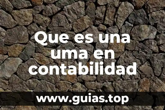 Que es una uma y su valor 3 Que es una uma en contabilidad
