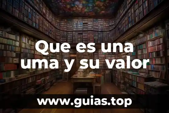 Que es una uma en contabilidad 4 Que es una uma y su valor