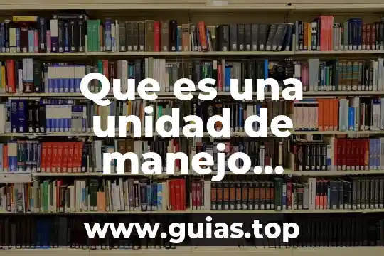 Que es una auditoria ambiental semarnat 3 Que es una unidad de manejo ambiental semarnat