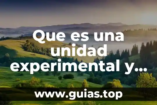 Qué es el soporte neural en psicología experimental 5 Que es una unidad experimental y ejemplos