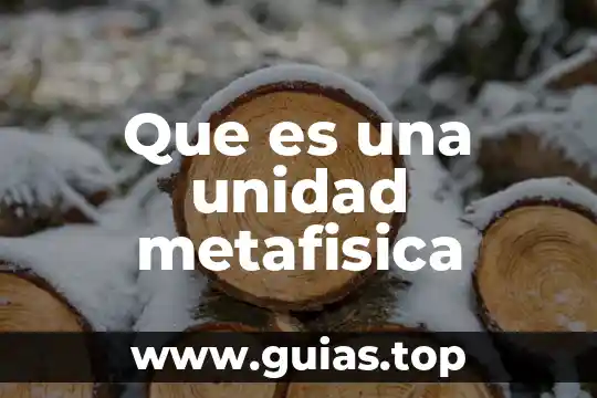 Según la metafísica que es sobriedad 7 Que es una unidad metafisica