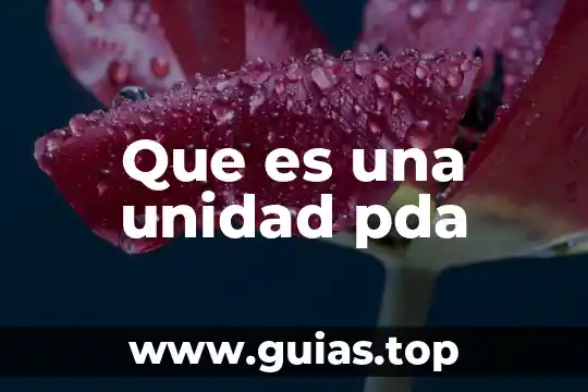 Que es unidad bd-rom 5 Que es una unidad pda