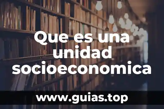 Que es una organizacion socioeconomica de mexico 4 Que es una unidad socioeconomica