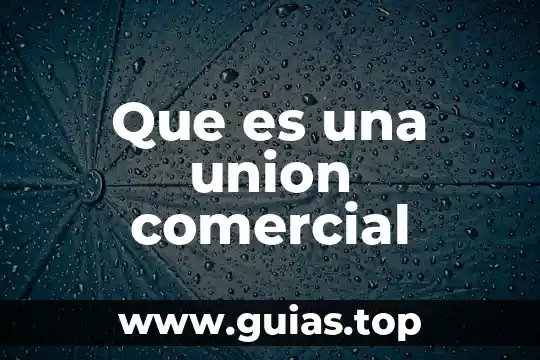 Que es una iniciativa comercial 7 Que es una union comercial
