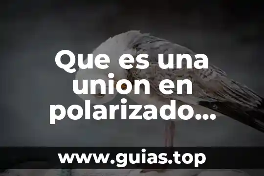 Que es el cierre directo 7 Que es una union en polarizado directo