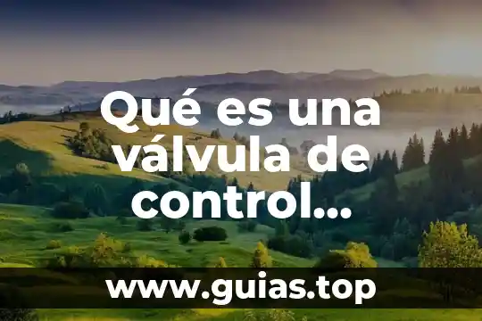 Qué es una válvula de control y una distribuidora 6 Qué es una válvula de control masoneil