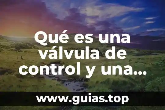 Válvula check de bola que es 3 Qué es una válvula de control y una distribuidora