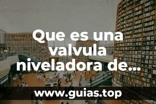 Qué es una válvula de control y una distribuidora 4 Que es una valvula niveladora de bolsas de aire