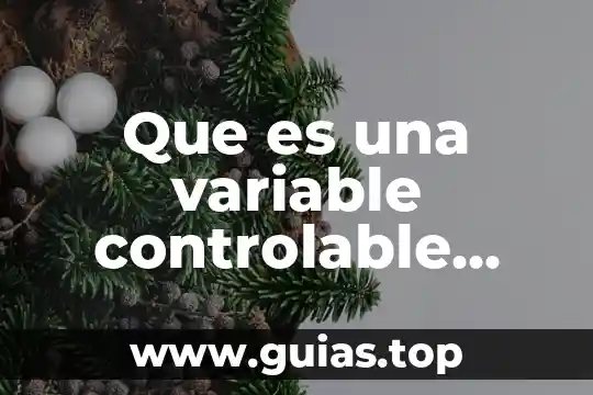 Que es binomio variable 5 Que es una variable controlable vital concepto
