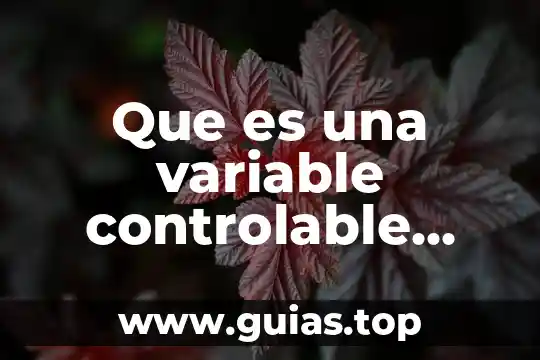 Que es el pensamiento vital gestion del mantenimiento 5 Que es una variable controlable vital significado