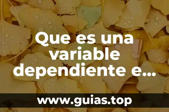 Que es una variable dependiente y explicativa 8 Que es una variable dependiente e independiente ensayo