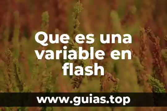 Qué es el ap fastboot flash mode secure 5 Que es una variable en flash