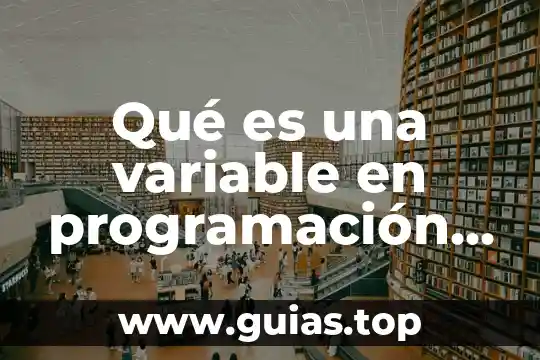 Qué es un lenguaje de programación y tipos 3 Qué es una variable en programación ejemplos