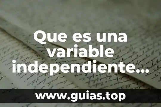 Que es estructura de un argumento 5 Que es una variable independiente argumento