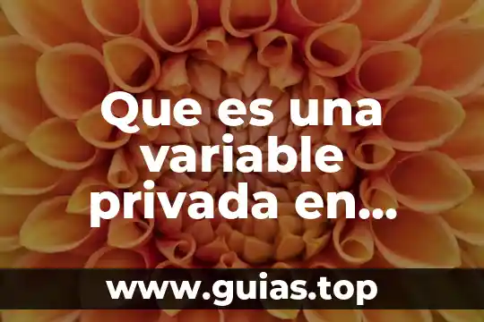 Que es una prueba privada 3 Que es una variable privada en programacion