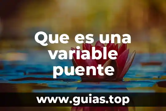 Termopar que es y tipos 8 Que es una variable puente