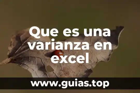 Que es la alineacion de los datos en excel 8 Que es una varianza en excel