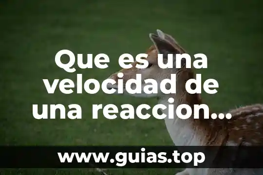 Que es una velocidad de una reaccion quimica