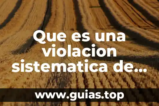 Que es un sistema de protección de los derechos humanos 5 Que es una violacion sistematica de derechos humanos