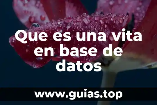 Que es la capa de enlace de datos 8 Que es una vita en base de datos