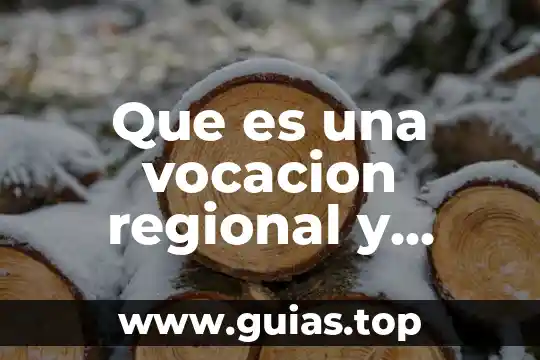 Qué es la sala regional toluca 4 Que es una vocacion regional y productiva