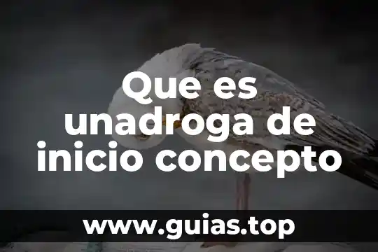 Qué es jidoka concepto 6 Que es unadroga de inicio concepto