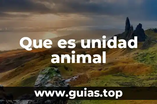 Mcda que es en derecho 6 Que es unidad animal