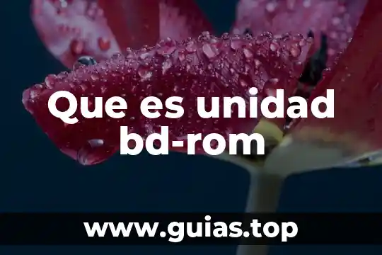 Que es una unidad pda 3 Que es unidad bd-rom