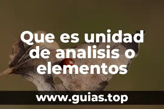Que es la creatinina baja en un analisis de sangre 7 Que es unidad de analisis o elementos