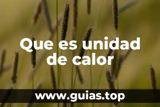 Qué es transferencia de calor y sus tipos 8 Que es unidad de calor