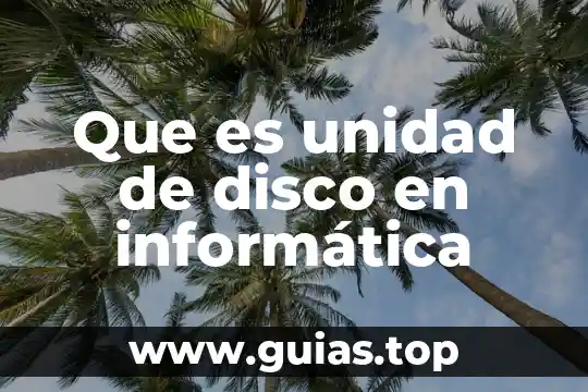 Qué es multiplexar en informática 3 Que es unidad de disco en informática