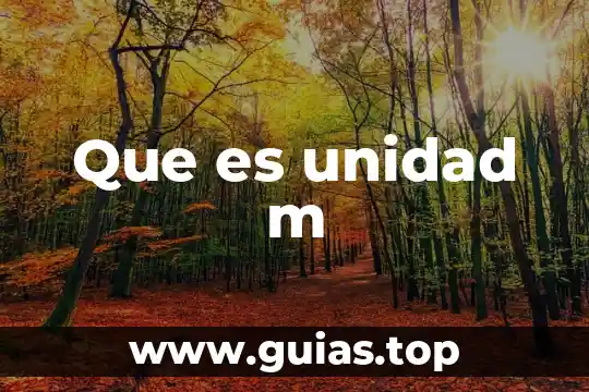 Que es un circulo con una m electronica 3 Que es unidad m