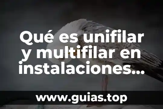 Que es el manejo de herramientas electricas 5 Qué es unifilar y multifilar en instalaciones eléctricas
