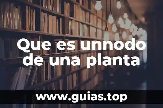Molibdeno forma en que es absorbido en la planta 8 Que es unnodo de una planta