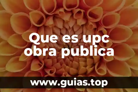 Qué es estandarización psicología 5 Que es upc obra publica