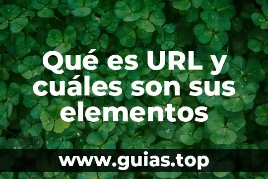 Qué es un virus y cuáles son sus tipos 7 Qué es URL y cuáles son sus elementos