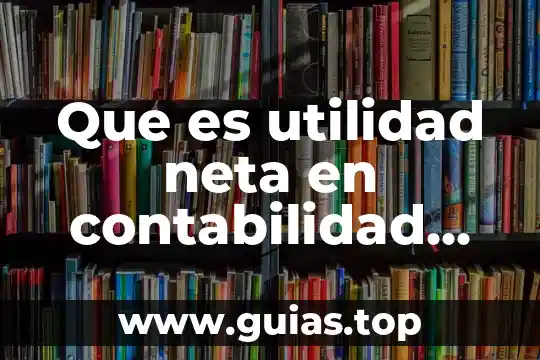 Que es nivel en contabilidad 4 Que es utilidad neta en contabilidad biblio