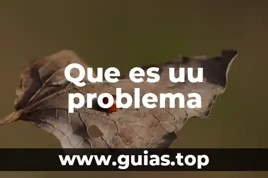 Admibisteacion que es un problema 6 Que es uu problema