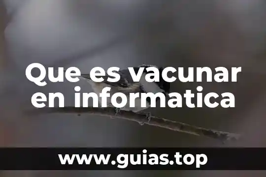 Que es color en informatica 3 Que es vacunar en informatica