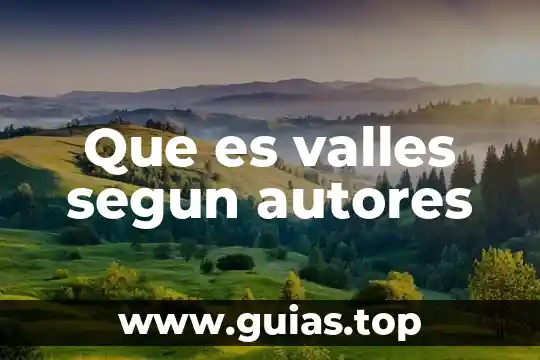 Que es la administracion segun da silva 7 Que es valles segun autores