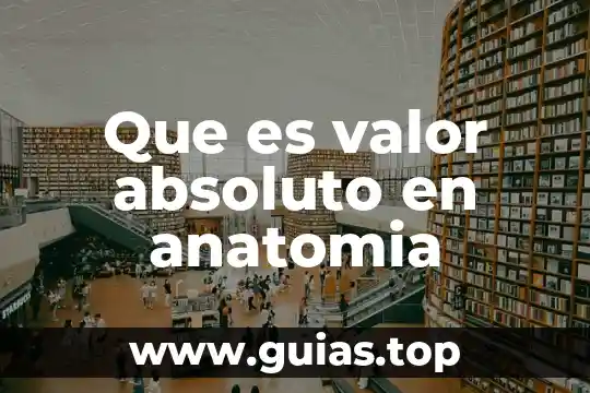 Qué es el umbral absoluto en psicología 4 Que es valor absoluto en anatomia
