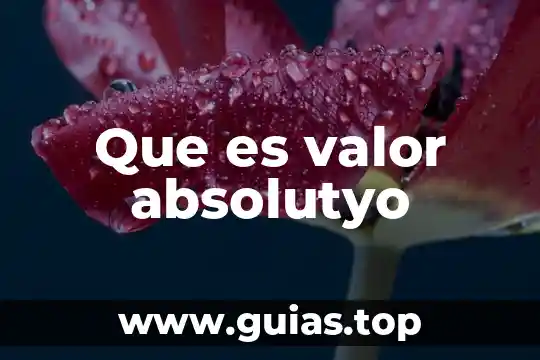 Cadena de valor de una empresa que es 3 Que es valor absolutyo