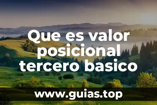 Que es programa basico arquitectonico 3 Que es valor posicional tercero basico