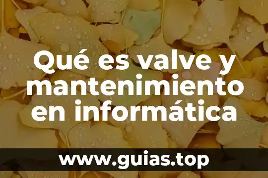 Que es color en informatica 7 Qué es valve y mantenimiento en informática