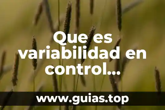 Que es variabilidad en control estadistico