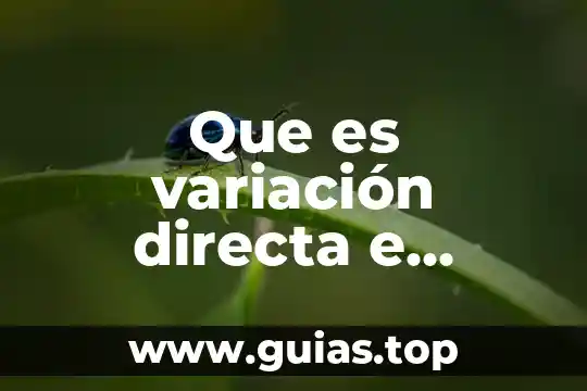Que es variacion lineal concepto 5 Que es variación directa e inversa