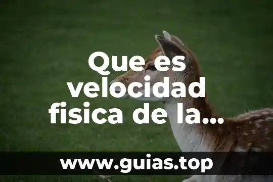 Que es la verdad fisica 5 Que es velocidad fisica de la ciencia