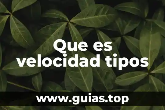 Que es en analisis 5 Que es velocidad tipos