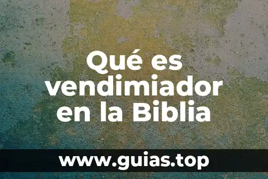 Que es ser cristiano hoy josé maría castillo 7 Qué es vendimiador en la Biblia