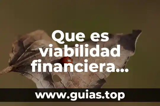 Desde el punto de vista filosófico que es la muerte 6 Que es viabilidad financiera segun autores